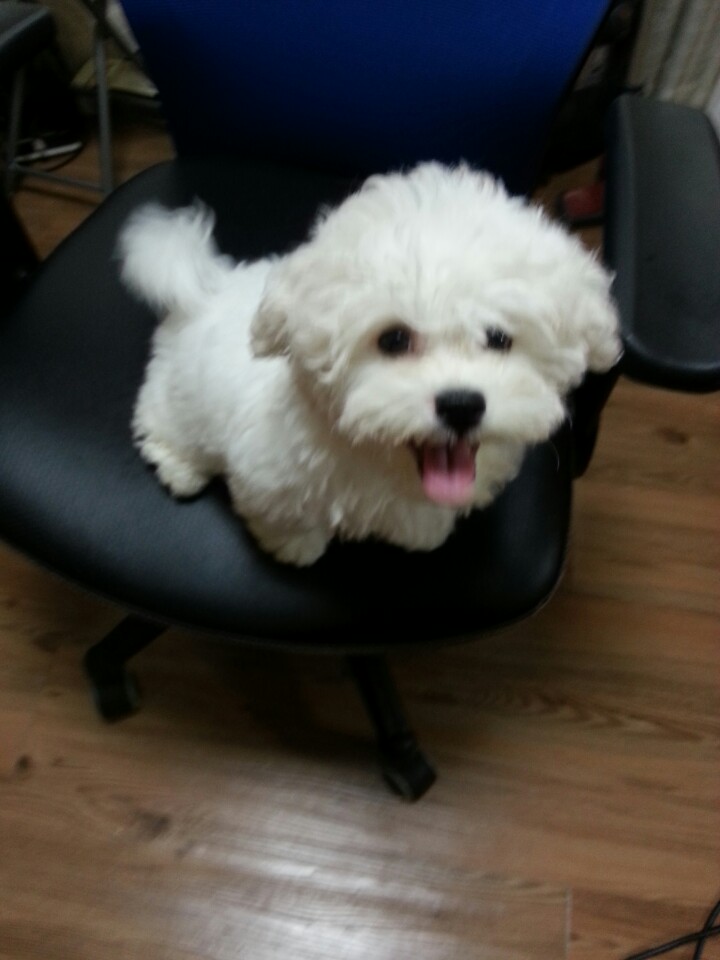 KakaoTalk_20141008_104431736.jpg