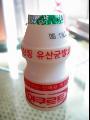 야쿠르트.jpg