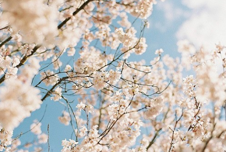 오라픽스 치아교정 포스팅(1).png