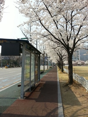 오라픽스 치아교정 포스팅(4).jpg