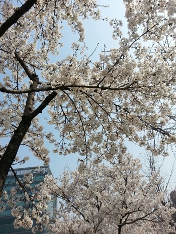 오라픽스 치아교정 포스팅(5).jpg