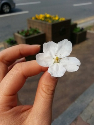 오라픽스 치아교정 포스팅(6).jpg