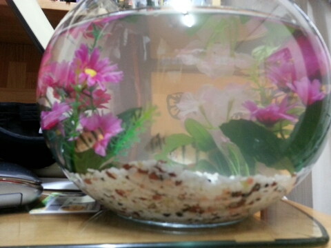 오라픽스 치아교정 포스팅 (1).jpg