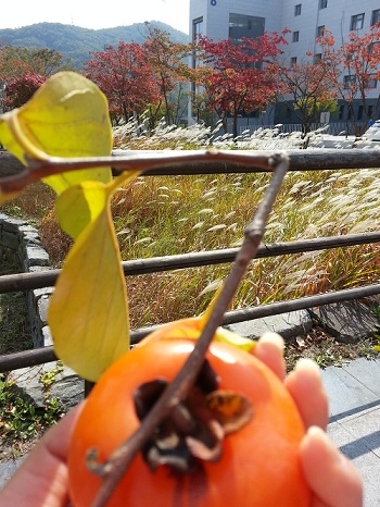 오라픽스 치아교정 포스팅(1).jpg